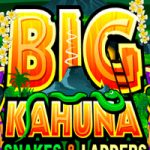 big-kahuna-snakes-and-ladders