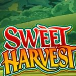 sweet-harvest